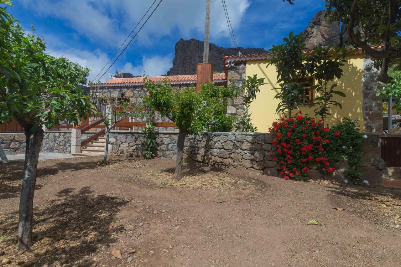 Ayacata San Bartolomé